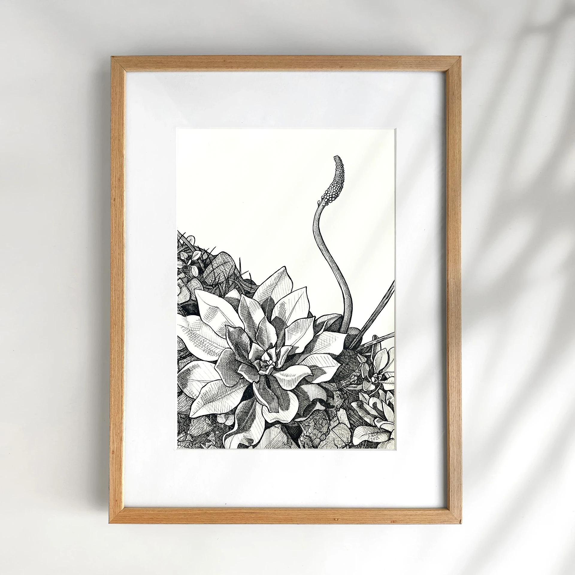 Holiday Drawing – Plant